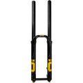 DH38 m.2 Suspension Fork - 29"/27.5", 200mm, 20mmx110mm DH Boost, TTX18 Damper, Dual Adjust Air Spring, Gloss Black