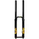 DH38 m.2 Suspension Fork - 29"/27.5", 200mm, 20mmx110mm DH Boost, TTX18 Damper, Dual Adjust Air Spring, Gloss Black