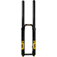 DH38 m.2 Suspension Fork - 29"/27.5", 200mm, 20mmx110mm DH Boost, TTX18 Damper, Dual Adjust Air Spring, Gloss Black