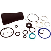 200 Hour Damper Rebuid Kit