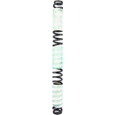 DH38 Front Fork Spring