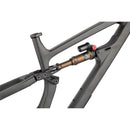 Blackthorn Carbon Frame - Raw