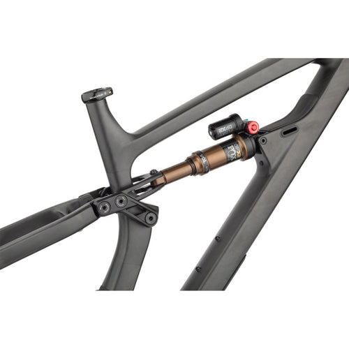 Blackthorn Carbon Frame - Raw