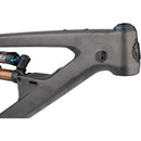 Cassidy Carbon Frame - Raw