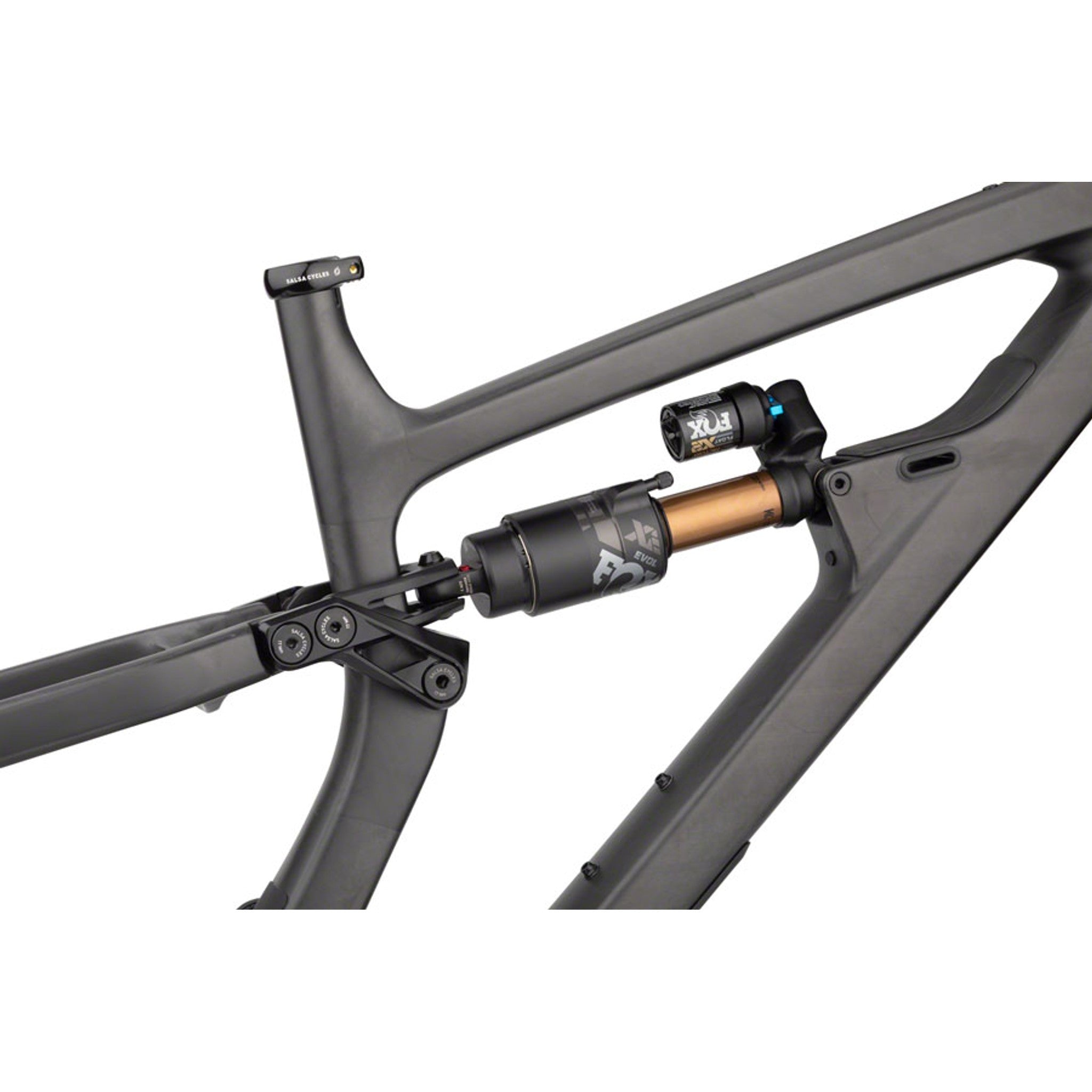 Cassidy Carbon Frame - Raw