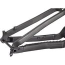 Cassidy Carbon Frame - Raw