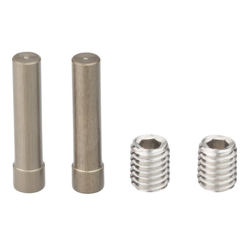 Chain Tensioner Set (2 Screws + 2Pins)