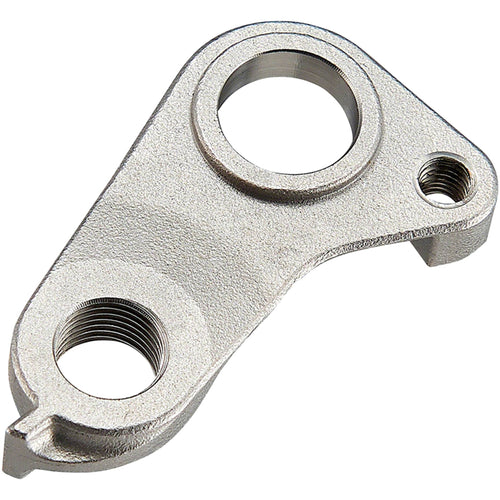 Derailleur Hanger