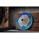 Helix Race 12-Speed 9-52t Cassette