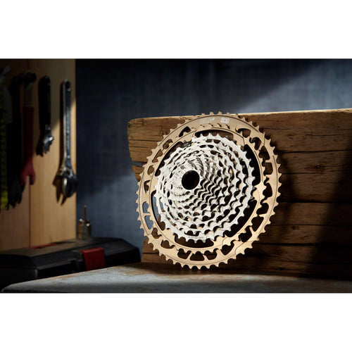 Helix Race 12-Speed 9-52t Cassette