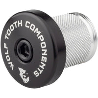 Compression Plug With Integrated Spacer Stem Cap