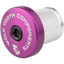 Compression Plug With Integrated Spacer Stem Cap