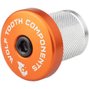 Compression Plug With Integrated Spacer Stem Cap