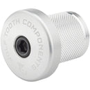 Compression Plug With Integrated Spacer Stem Cap