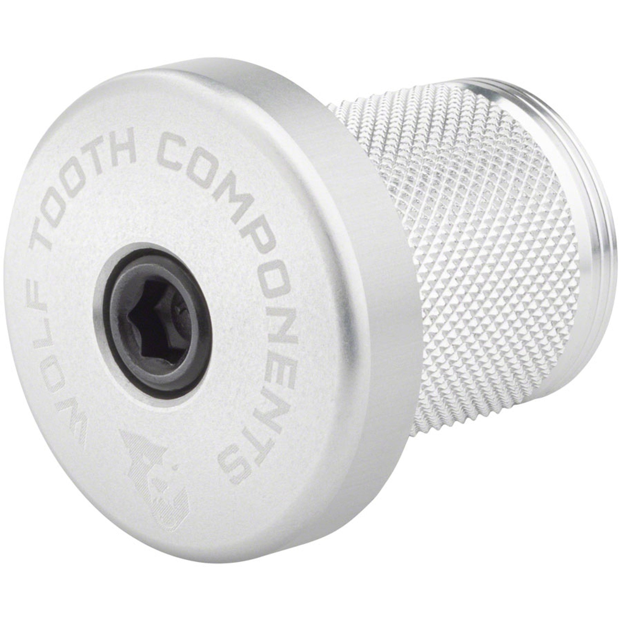 Compression Plug With Integrated Spacer Stem Cap