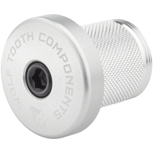 Compression Plug With Integrated Spacer Stem Cap
