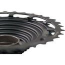 TRS Plus Cassette Upgrade Kit with Cassette, Chain, Shifter and Derailleur Conversion Kit - 12 Speed, 9-46t, Black