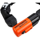 Evolution Chain Locks