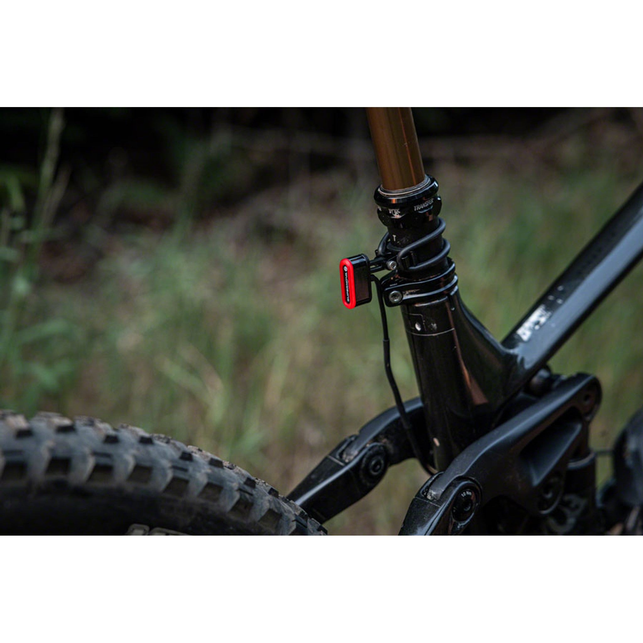 TL3 Mini 6V Seatpost Light - Black