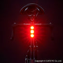 ViZ450 Taillight
