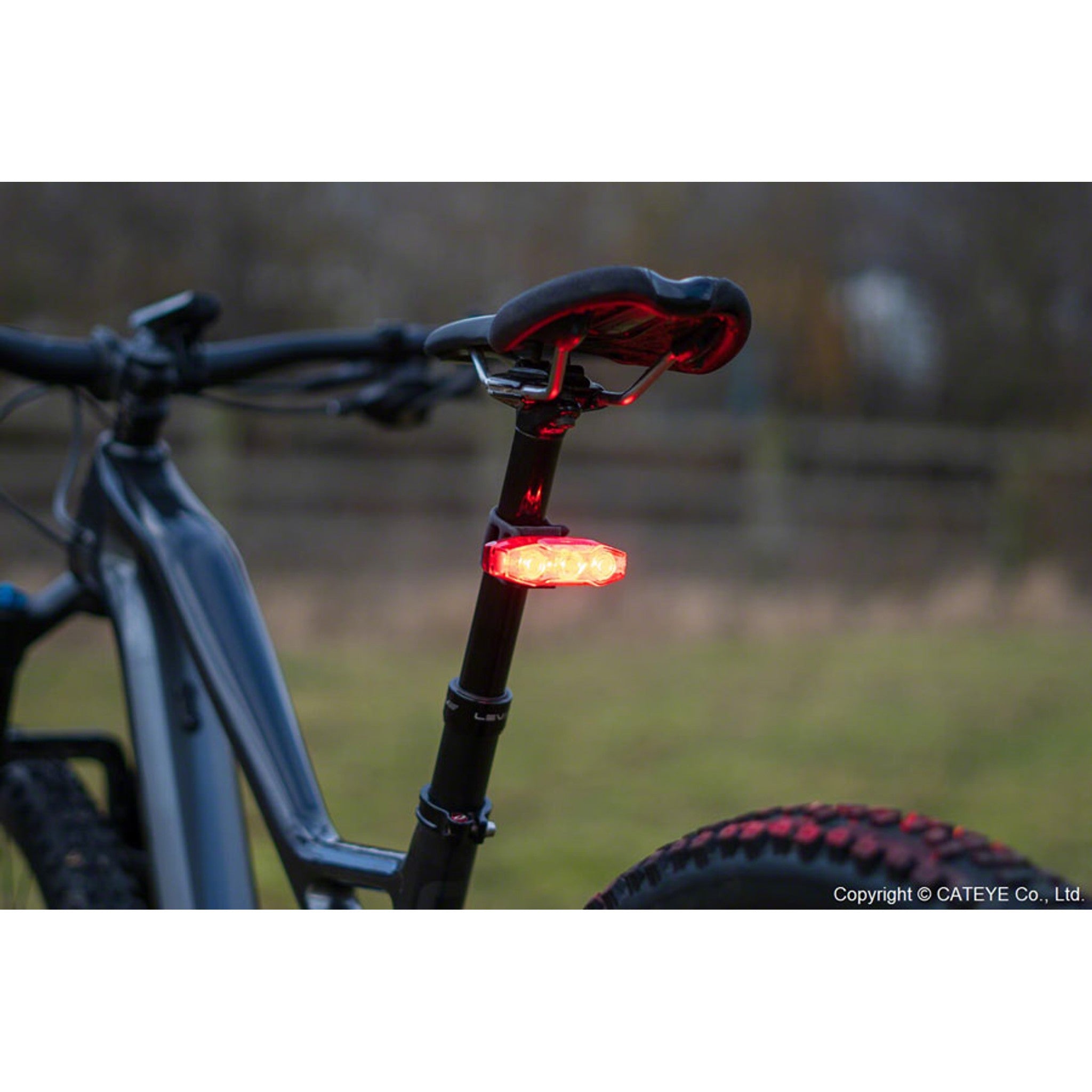 ViZ450 Taillight