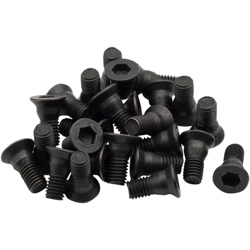 Cleat Screws