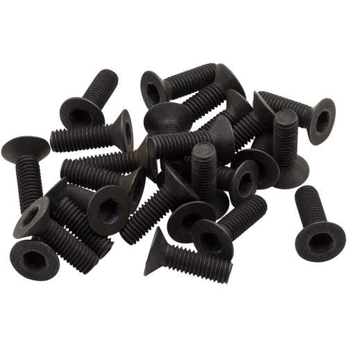 Cleat Screws