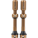Alloy Tubeless Valves