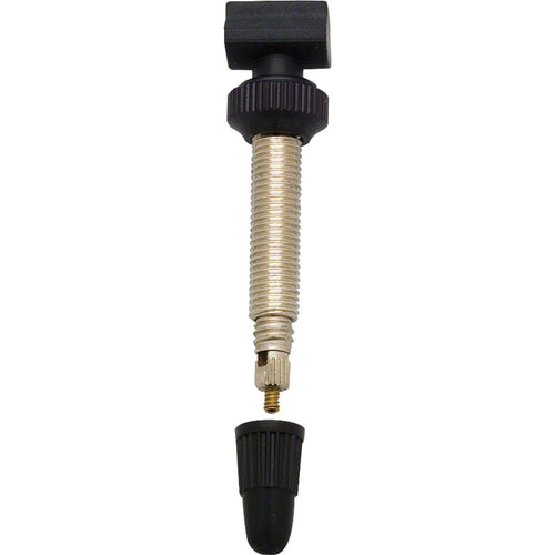 Tubeless Valves