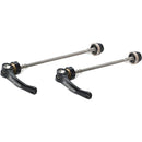 Stainless Skewer Pairs