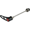 DT Swiss RWS MTB Front Quick Release - QR x 100mm, Titanium