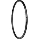 Belgium G Rim