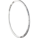 Aileron Rim