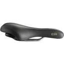 Ellipse Saddle