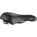 Ellipse Saddle
