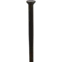 Competition Straight Pull Black Spokes