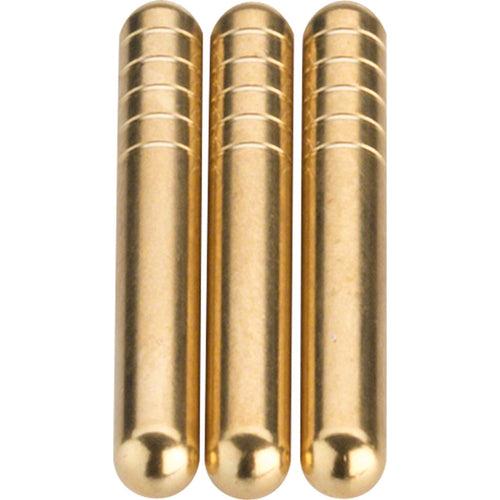 Reverb Internal Parts