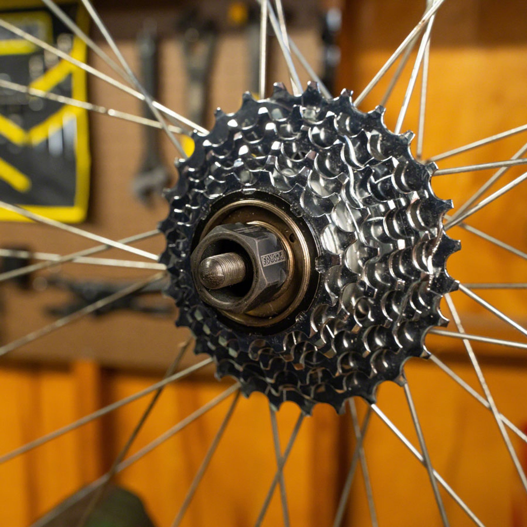 Freewheel Socket