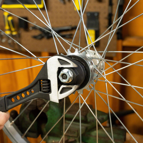 Freewheel Socket