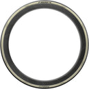 P ZERO Race RS Tire