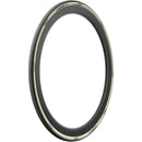 P ZERO Race RS Tire