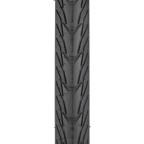 Energizer Plus Tire