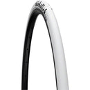 ThickSlick Tire