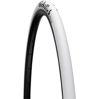 ThickSlick Tire