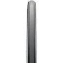 Campione Tire - 700 x 25, Tubular, Black, 3C, K2