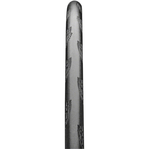 Grand Prix 5000 All Season TR Tire