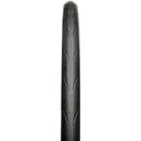 Fusion 5 Performance Tire - 700 x 25, Clincher, Folding, Black, ProTech
