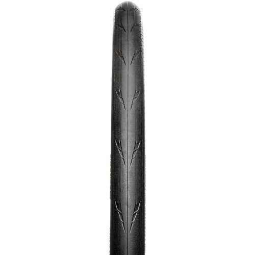 Fusion 5 Performance Tire - 700 x 25, Clincher, Folding, Black, ProTech