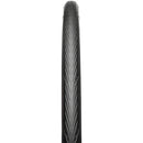 Fusion 5 All Season Tire - 700 x 25, Clincher, Folding, Black, ProTech