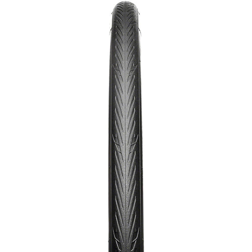 Fusion 5 All Season Tire - 700 x 25, Clincher, Folding, Black, ProTech